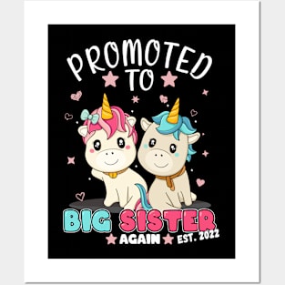 Sister 2022 Siblings Promoted Unicorn Posters and Art